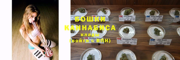 гидра Верхний Тагил