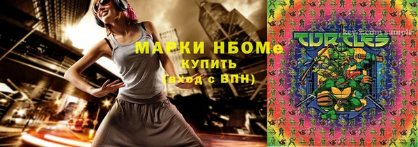гидра Верхний Тагил