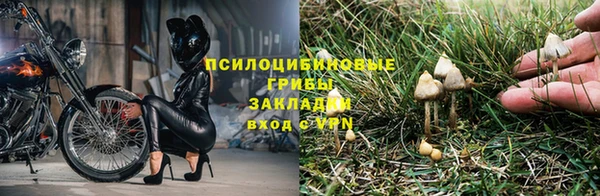 гидра Верхний Тагил