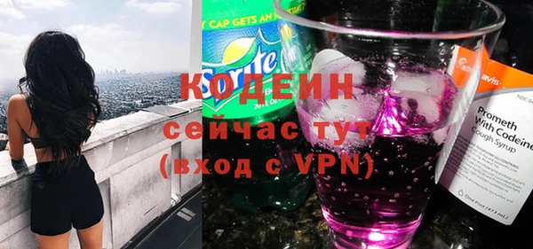 гидра Верхний Тагил