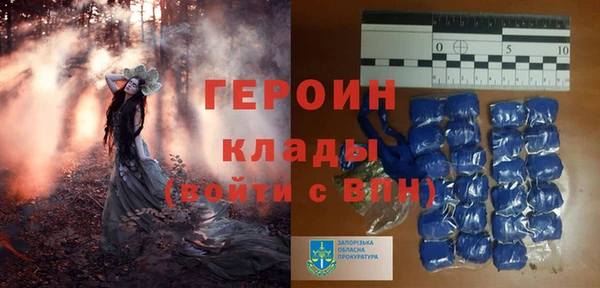 гидра Верхний Тагил