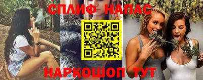 spice Бийск