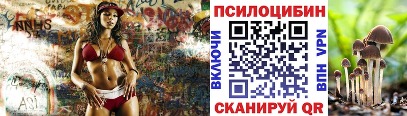 Псилоцибиновые грибы Cubensis  Батайск 