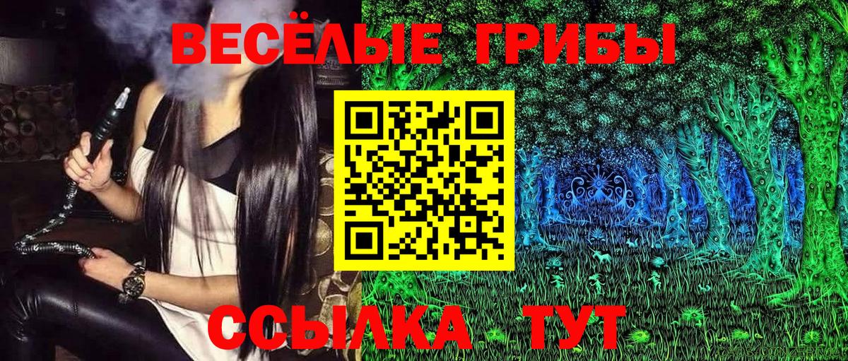 Псилоцибиновые грибы GOLDEN TEACHER Батайск