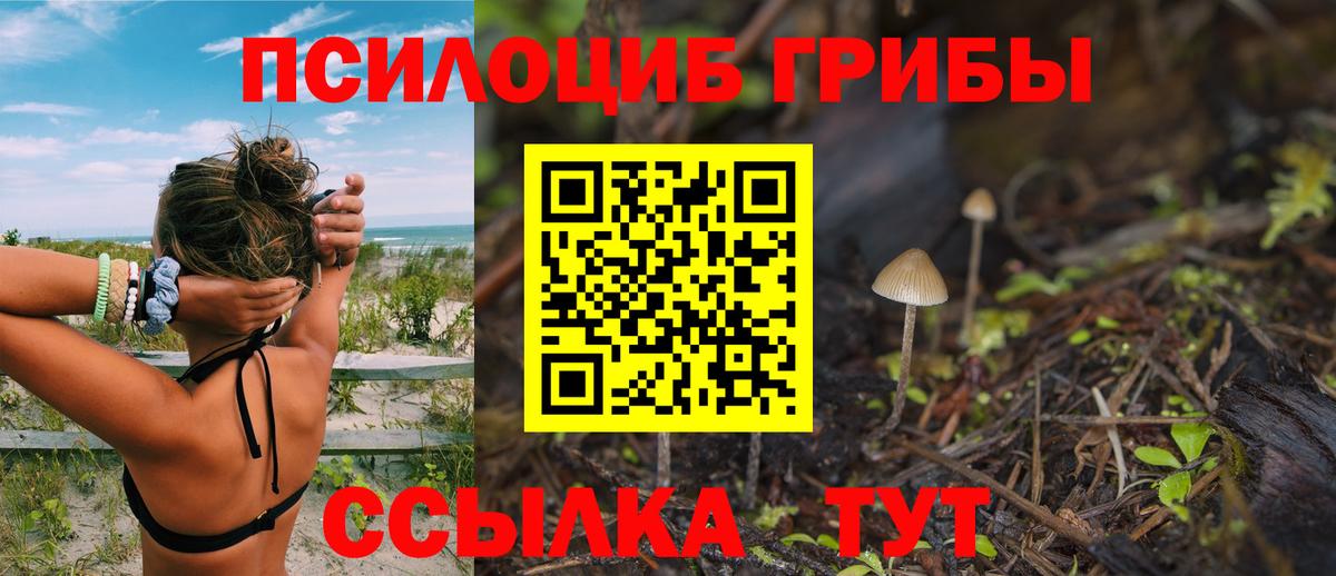 Псилоцибиновые грибы Cubensis Батайск