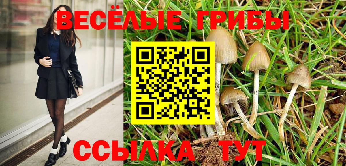 Галлюциногенные грибы Cubensis  Псилоцибиновые грибы Psilocybine cubensis  Вход с VPN  Батайск 