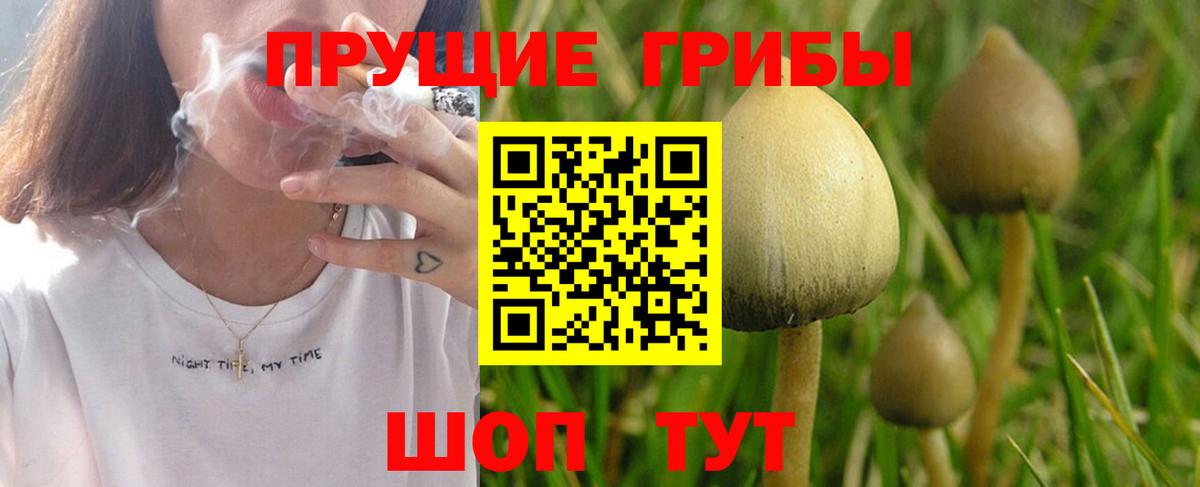 Галлюциногенные грибы GOLDEN TEACHER  Батайск  Галлюциногенные грибы Magic Shrooms 